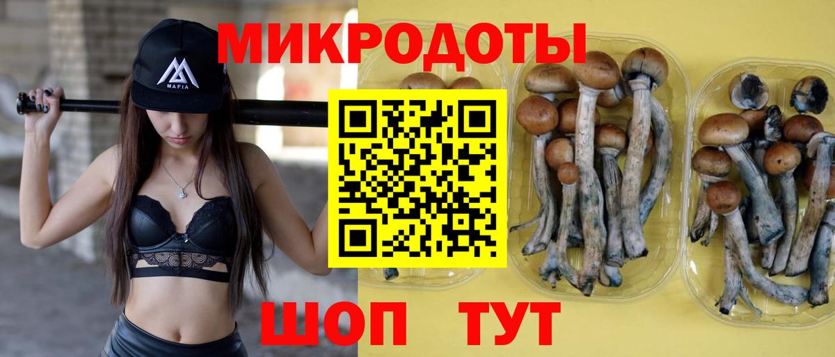 Екатеринбург  Галлюциногенные грибы Cubensis  Вход с VPN  Псилоцибиновые грибы Psilocybine cubensis 